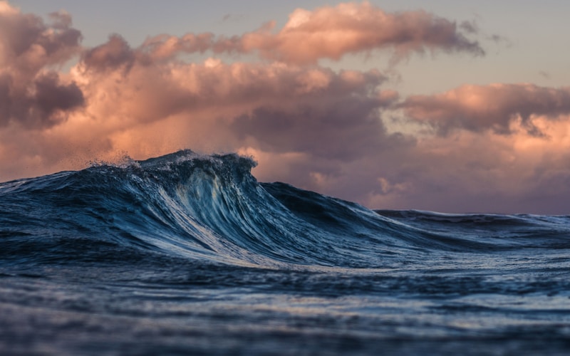 IPTV in Qatar: beIN Sports Headquarters and Arabic Broadcasting